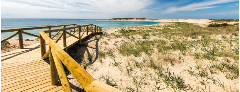 Playas Cádiz Alqyon
